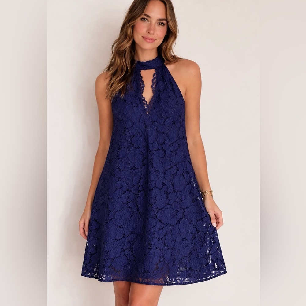 ERIN Erin Fetherston Navy Lace Halter Swing Dress Cocktail A-Line